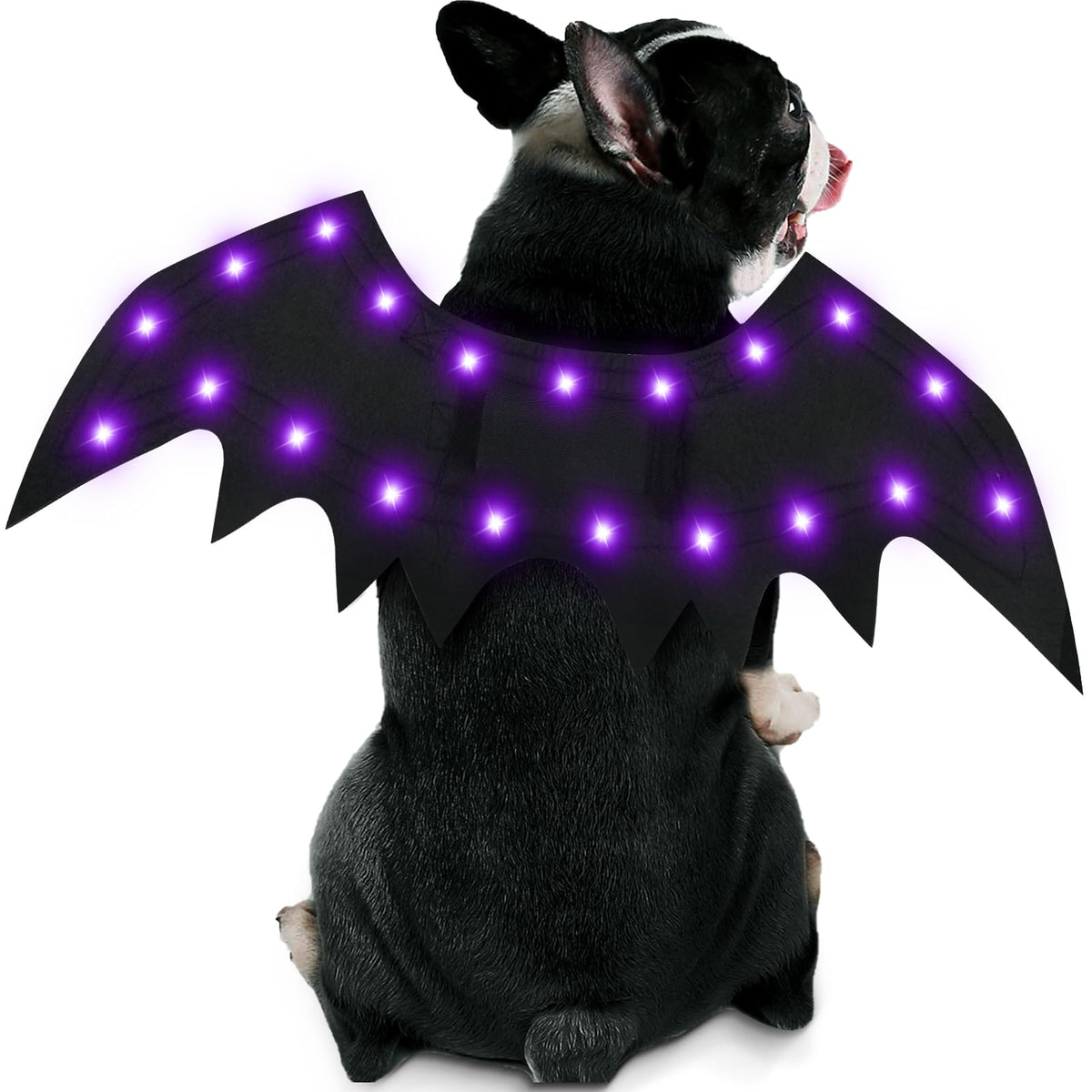 Light-Up Dog Halloween Bat Wings Costume – 20 LED, Medium